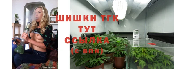 мяу мяу кристалл Гусь-Хрустальный
