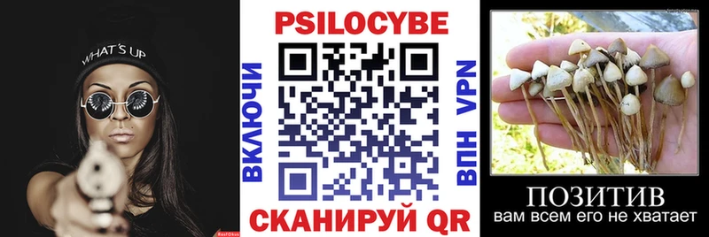 ссылка на мегу tor  Няндома  Псилоцибиновые грибы Magic Shrooms 